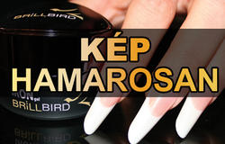 BrillBird Kaposvár
