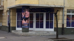 BrillBird Győr