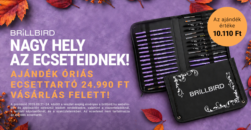 Ajándék óriás ecsettartó