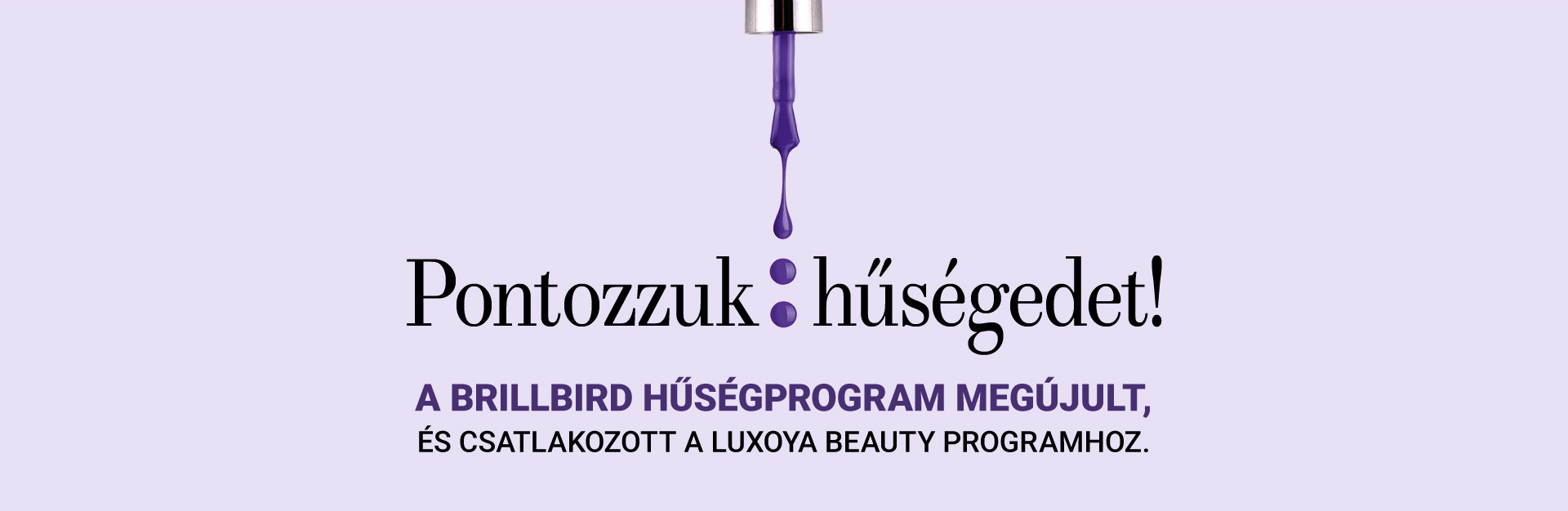BrillBird - Luxoya-Huseg-Program