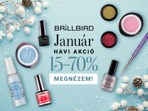 Januári havi akció