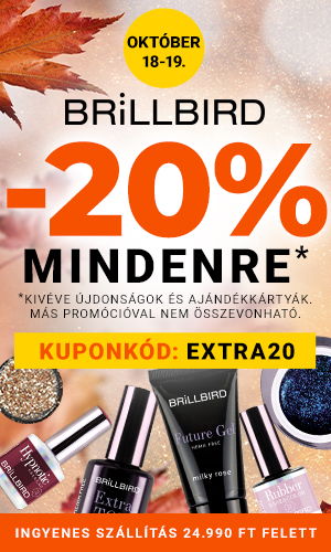 Kép