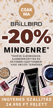 Kép