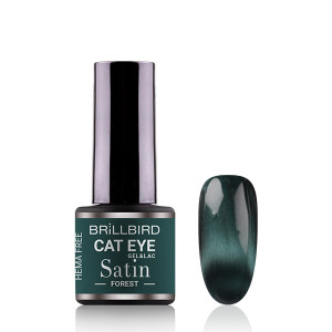 HEMA Free CAT EYE SATIN - Forest 4ml