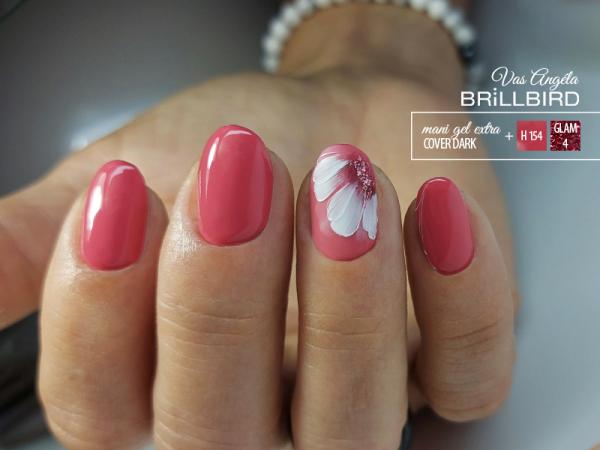 BrillBird