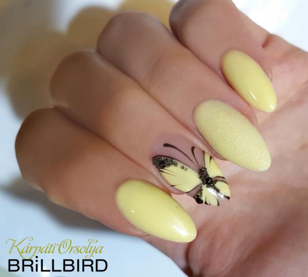 BrillBird