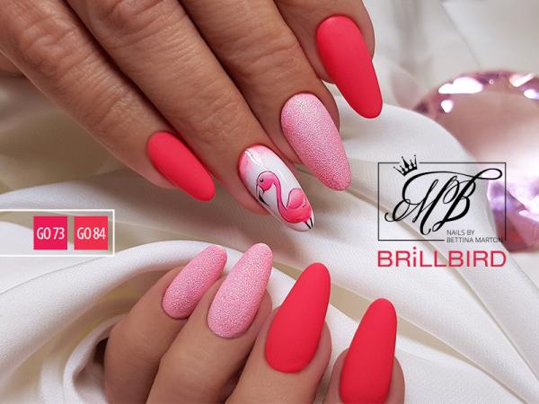 BrillBird