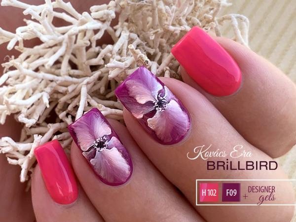 BrillBird