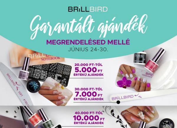 BrillBird Hírlevél