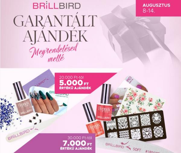 BrillBird Hírlevél