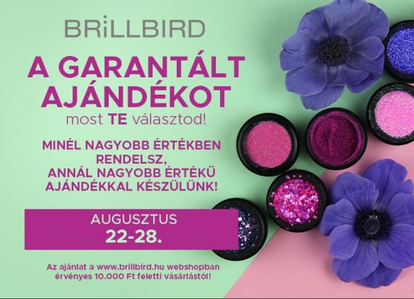 BrillBird Hírlevél