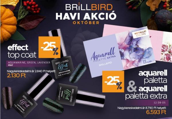 BrillBird Hírlevél