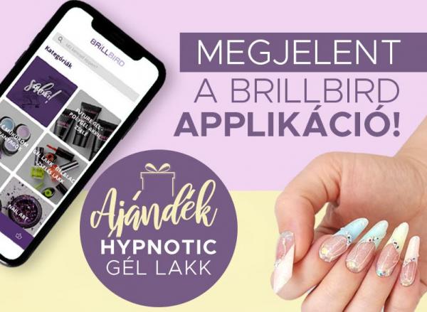 BrillBird Hírlevél